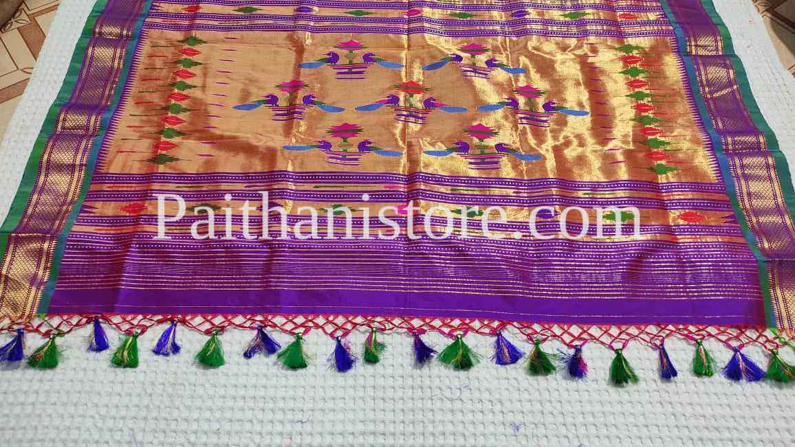 Make a Statement with Tassel Work On Saree