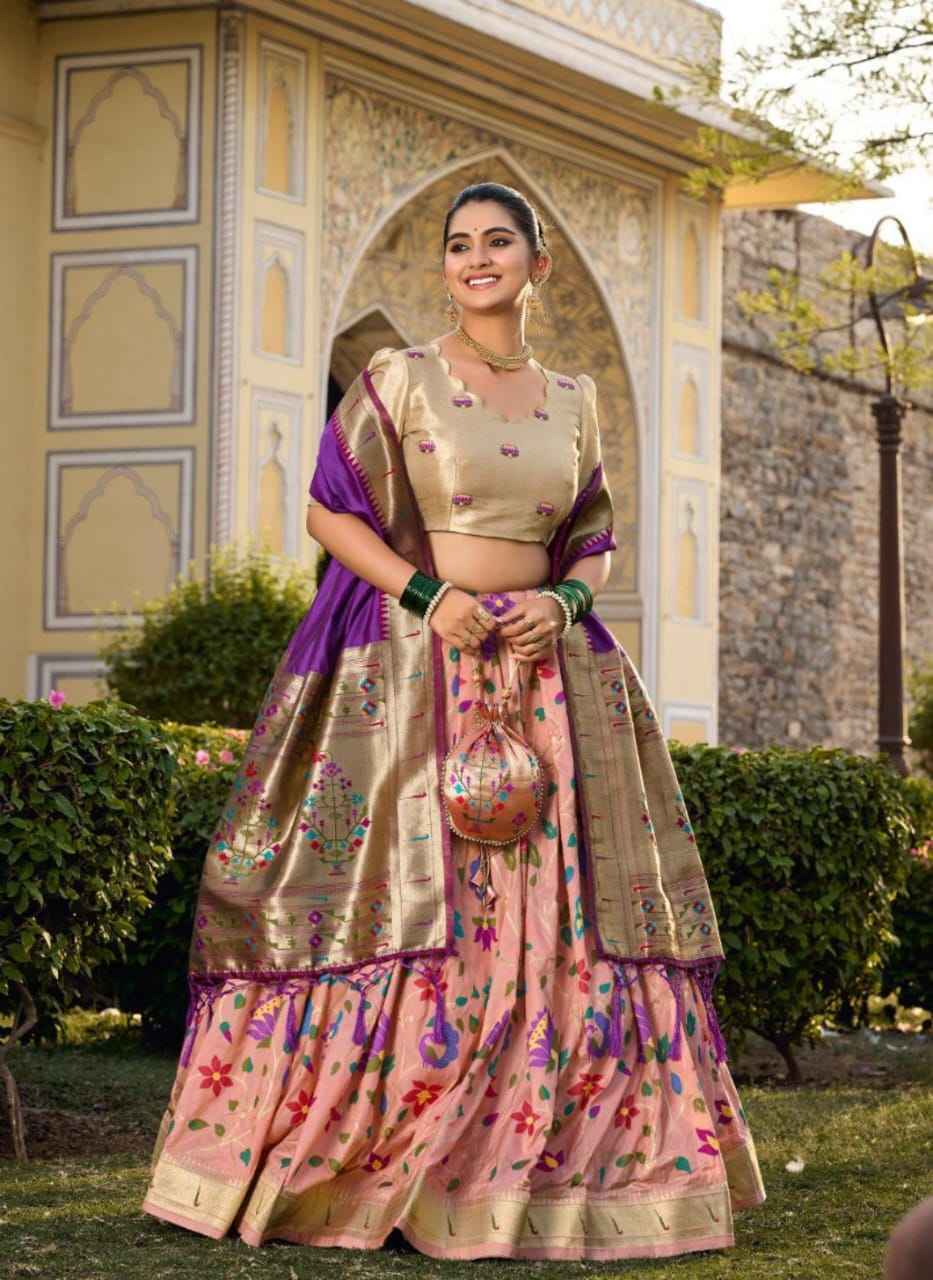 Beautiful All Over Lehenga For Women