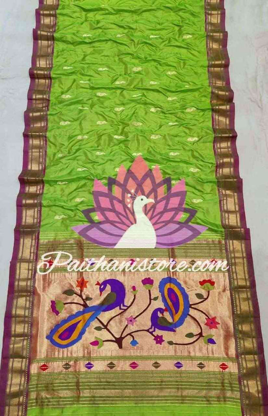 Paithani Sarees | पैठणी साड़ी